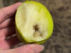 -北京民族园葉子里酒店(鸟巢店)