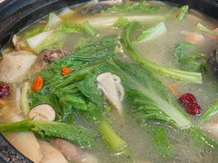 -蘑统田下·野生菌火锅