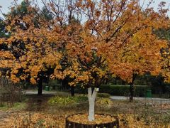 -忆江南·生态餐饮宴会酒店