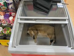 -天福棋牌(田林店)
