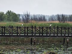 -野鸭湖国家湿地公园