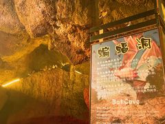 -游龙石文化科普馆