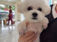 -德元·美联众合24小时动物医院(总院)