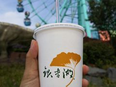 -南京银杏湖乐园