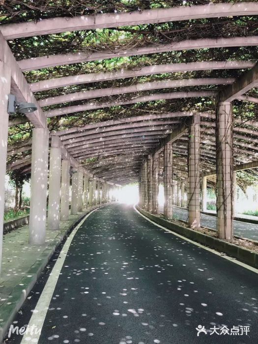 重庆医科大学附属第一医院(金山院区)图片