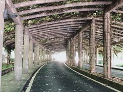 -重庆医科大学附属第一医院(金山院区)