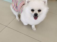 -怪兽屋·羊驼·猫咖·狗咖(俊华广场店)