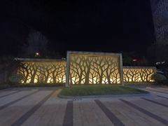 -武汉光谷K11
