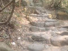 -水濂山森林公园