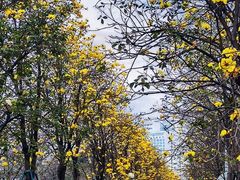-洲头咀公园