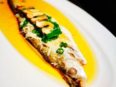 -子福慧(虹桥店)