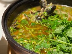 石锅鸡血黄辣丁-许家菜(望江店)