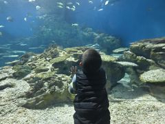 -海合安武汉极地海洋公园