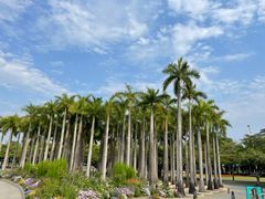 -深圳国际园林花卉博览园