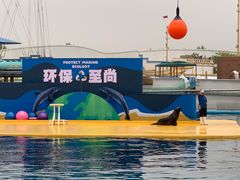 -秦皇岛乐岛海洋王国