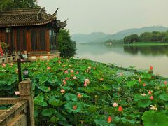 -湘湖大院(越王路店)