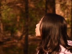 -青龙山国家森林公园