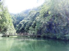 -桂林古东瀑布景区
