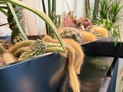 -J Create城市露营咖啡·简餐·宠物(上海动物园店)