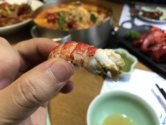 -海桐