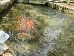 -水磨沟公园