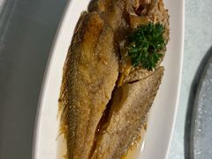 -金美华轩(东方路齐鲁店)