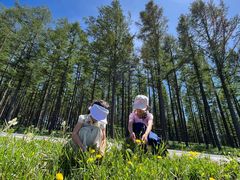 -塞罕坝国家级自然保护区