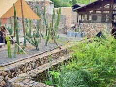 -MOJ coffee(瓯海泽雅水碓坑店)