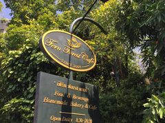 -Fern Forest Cafe