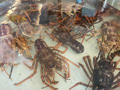 -万龙洲海鲜(大兴绿地缤纷城店)