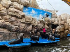 -华夏文旅海洋公园