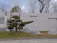-三垟湿地