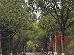 -莫干山风景区