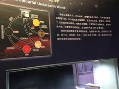 -陕西自然博物馆