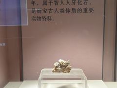 -咸宁市博物馆