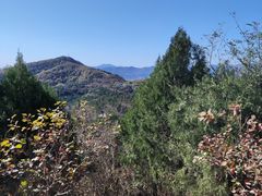 -北京西山国家森林公园