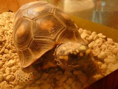 -上海大自然野生昆虫馆