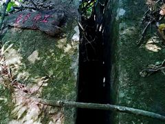 -海南霸王岭国家森林公园