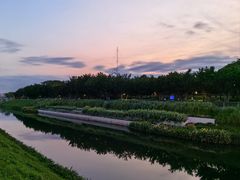 -福田红树林生态公园