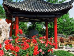 -葛仙湖公园