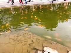 -云溪植物园