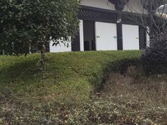 -紫鹊界梯田景区