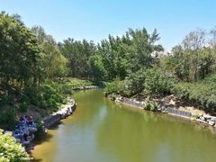 -大兴滨河森林公园