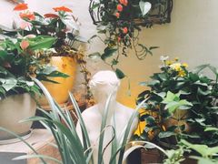 -上合花园花园烧烤(贵阳店)