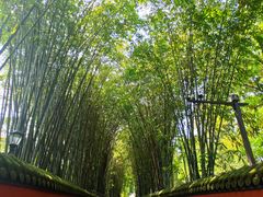 -成都武侯祠博物馆