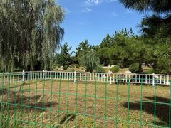 -羊亭河湿地公园