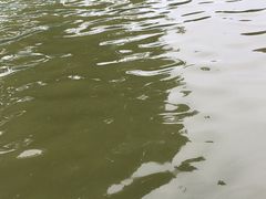 -酷鱼垂钓CLUB(朝阳区博大路店 )