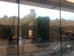 -Apple零售店(玄武湖店)