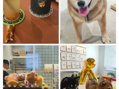 -柴务处·柴犬主题狗咖