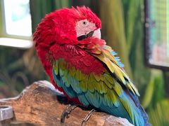 -海合安武汉极地海洋公园